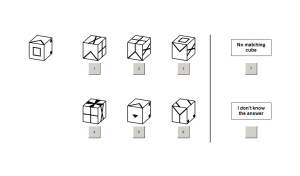 Psychometrics: Spatial Reasoning Test II